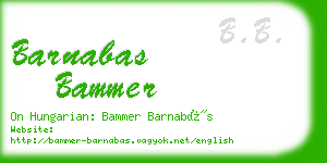barnabas bammer business card
